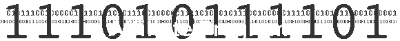 Affiliate Program